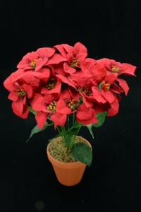 Red Micro-Peach Fabric Poinsettia Bush x9 (Lot of 1) SALE ITEM